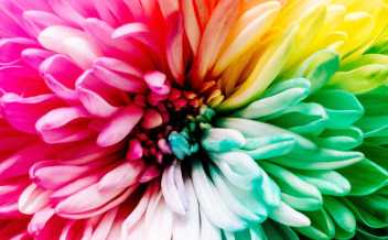 Why managing expectations is essential in management and practical ways how to do that