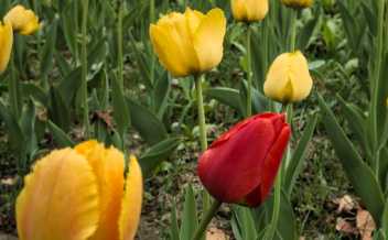 Management applies to everyone!