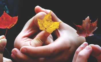 Embracing diversity productively in the workplace. What does the evidence tell us?