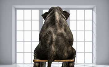 Wie ein Elefant im Porzellanladen: Wie man beim Fällen mutiger Entscheidungen unbeabsichtigte Konsequenzen vermeidet