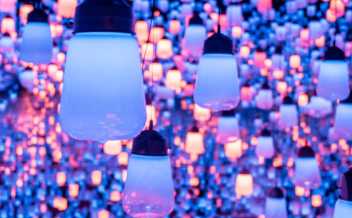 In a VUCA world organizations need to move from management training to management learning