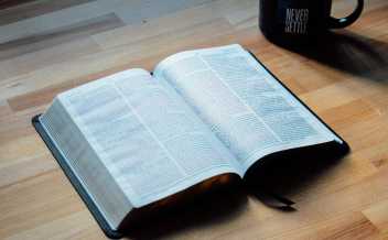 Learning transfer is a key criteria of any learning and development intervention